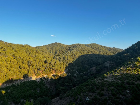 Karalar Mah. Havran Satılık Arazi |  12300M2 5.500.000Tl Resim-2