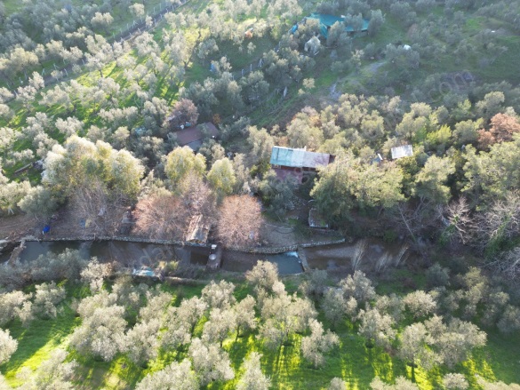 Adatepe Köyü Ayvacık Satılık Zeytinlik |  11738M2 16.000.000Tl Resim-2