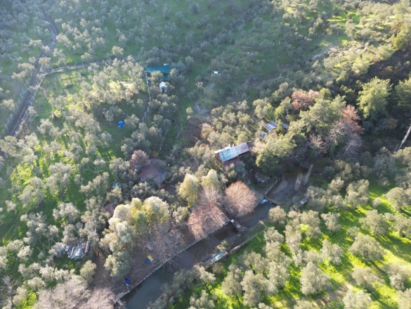 Adatepe Köyü Ayvacık Satılık Zeytinlik |  11738M2 16.000.000Tl Resim-3