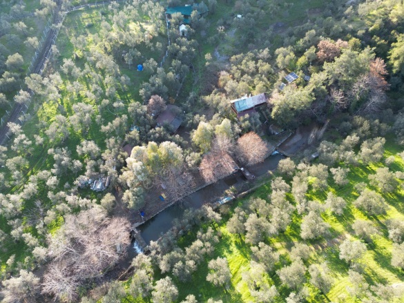 Adatepe Köyü Ayvacık Satılık Zeytinlik |  11738M2 16.000.000Tl Resim-4