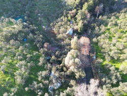 Ayvacık Adatepe Köyü Satılık Zeytinlik 11738 M2