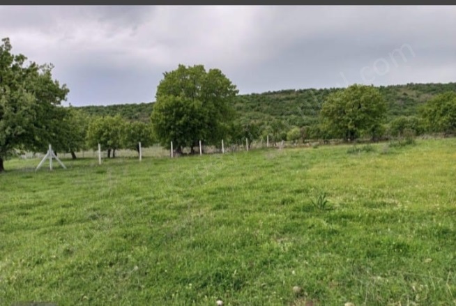 Kızılçukur Mah. Dikili Satılık Tarla |  525813M2 6.500.000Tl Resim-1