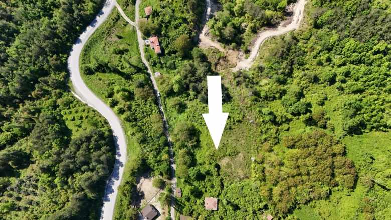 Yakabaşı imarlı 4769 M2 Satılık Arsa Mah-Yaylas Mah-Yakabaşı Abana Emlak