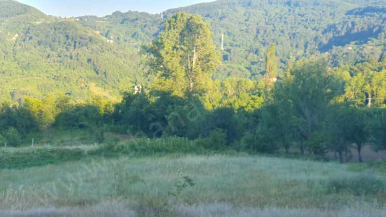 Yemeni Köyünde 2411 M2 Satılık Arsa Mah-Yemeni Köyü Abana Emlak