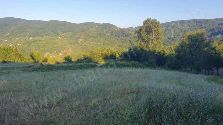 Yemeni Köyünde 2411 M2 Satılık Arsa Mah-Yemeni Köyü Abana Emlak