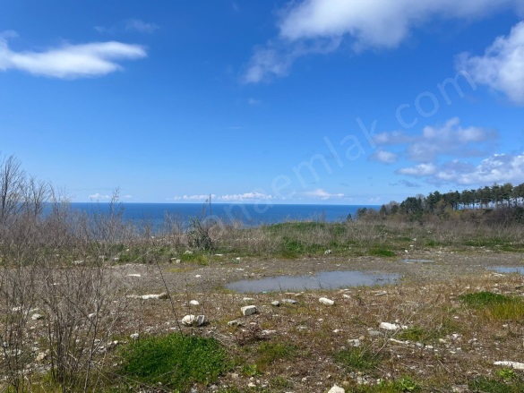 Bağlık Mah. Abana Satılık Daire |  2+1 Oda | 120M2 2.000.000Tl | Zemin Kat | Merkezi Isınma | 1 Banyo | 2 Yatak Odası Resim-1