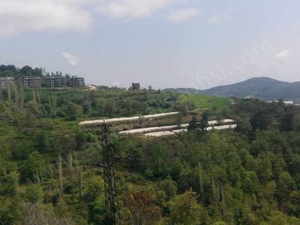 Alanya Mahmutlarda Satılık Arsa Deniz Manzaralı imarlı Müstakil Mahmutlar Mah