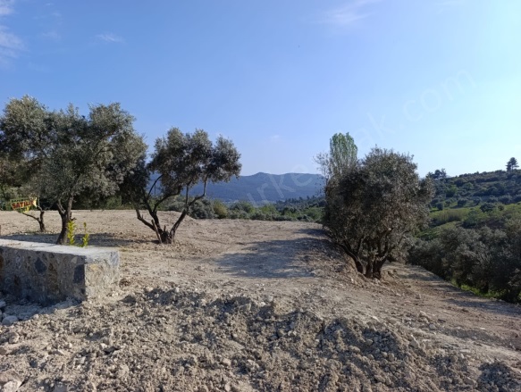 Çınarköy Mah. Kuşadası Satılık Arazi |  1645M2 7.500.000Tl Resim-1