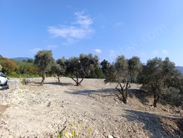 Çınarköy Mah. Kuşadası Satılık Arazi |  1645M2 7.500.000Tl Resim-3