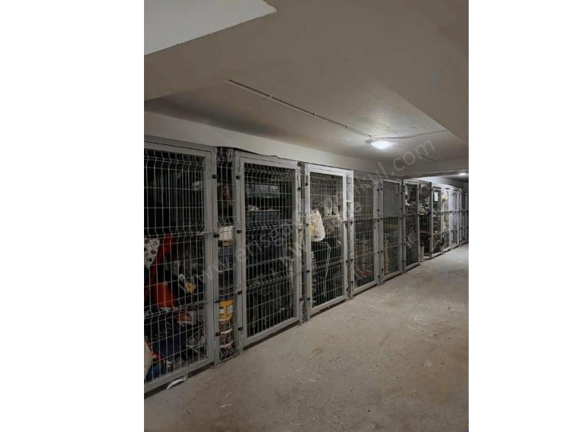 İSTANBUL KADIKÖY ŞAŞKINBAKKAL BAĞDAT CAD.2DK.MESAFEDE LÜKS SATILIK FIRSAT DAİRE