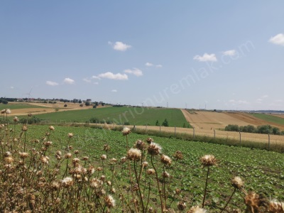 Silivri Seymen Mh Satılık Tarla 3855M2 Mustakil Mah