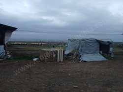 Turgutlu Urganlı Mah. Satılık Çiftlik