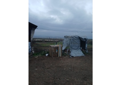 Tam Nokta Zenginler’Den Satılık Çiftlik 120 Başlık Elektrikli Trafolu Ruhsatlı Yatırımlık Arazi Turgutlu Urganlı Mah