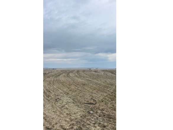 Erikbağı Köyü Adilcevaz Satılık Tarla | 2.650.000Tl Resim-3