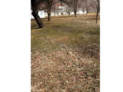 Parcel For Sale in  Turkey, Bitlis, Adilcevaz, Alacaatli neighborhood 