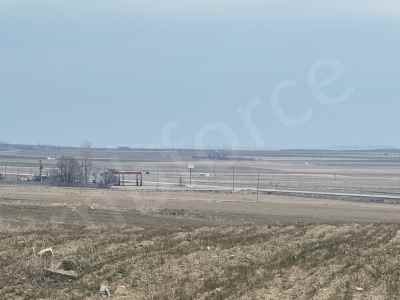 Field For Sale in  Turkey, Bitlis, Adilcevaz, Erikbagi Koyu 
