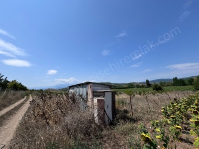 Çağlardan Toprakocak Da 3650M2 Ceviz Bahçesi Yatırım Arazisi Satılık Tarla Yenişehir