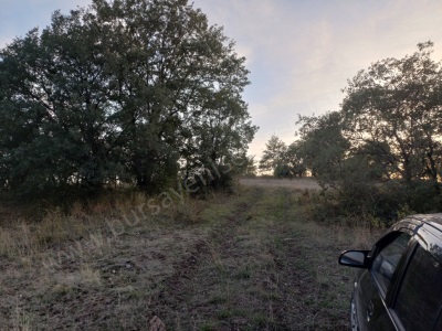 Çağlardan Günece De 961M2 Düşük Fiyatlı Yatırım Arazisi Satılık Tarla Yenişehir