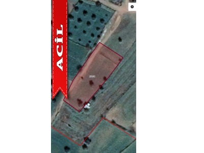 Mumcular Da Acil Satılık Arazi Düz Zemin Yolu Var Bodrum