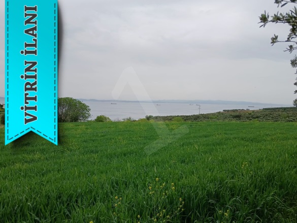 Mürefte Mah. Şarköy Satılık Arsa |  335M2 1.950.000Tl İmarlı  Resim-3