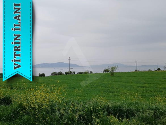 Mürefte Mah. Şarköy Satılık Arsa |  335M2 1.950.000Tl İmarlı  Resim-4