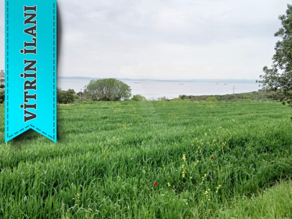 Mürefte Mah. Şarköy Satılık Arsa |  335M2 1.950.000Tl İmarlı  Resim-5