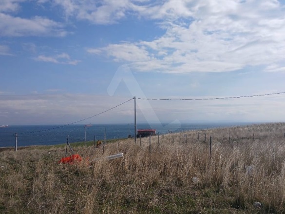 Kocaali Şarköy Satılık Arsa |  243M2 1.350.000Tl İmarlı  Resim-1