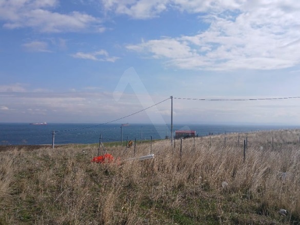 Kocaali Şarköy Satılık Arsa |  243M2 1.350.000Tl İmarlı  Resim-2