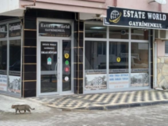 İğdebağları Şarköy Satılık Tarla |  18000M2 10.000.000Tl Resim-4