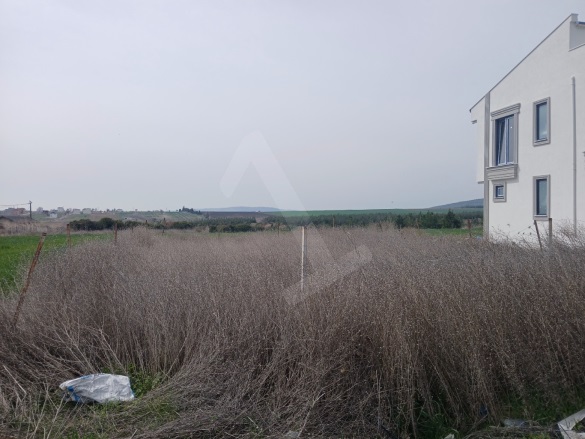 Kızılcaterzi Şarköy Satılık Arsa |  217M2 1.350.000Tl İmarlı  Resim-2