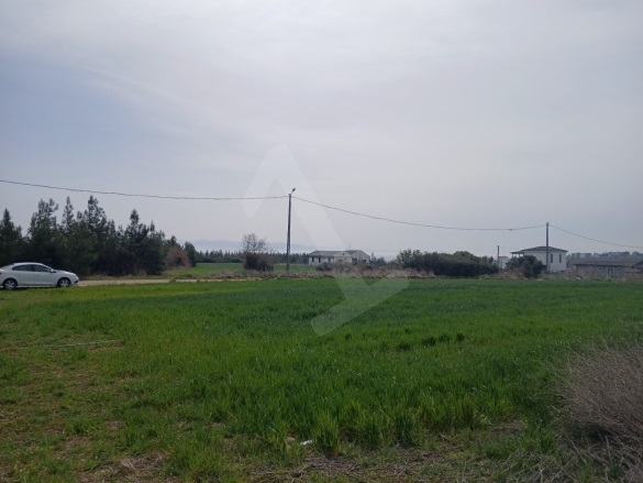 Kızılcaterzi Şarköy Satılık Arsa |  217M2 1.350.000Tl İmarlı  Resim-4