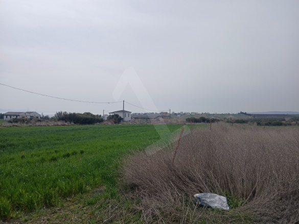 Kızılcaterzi Şarköy Satılık Arsa |  217M2 1.350.000Tl İmarlı  Resim-5