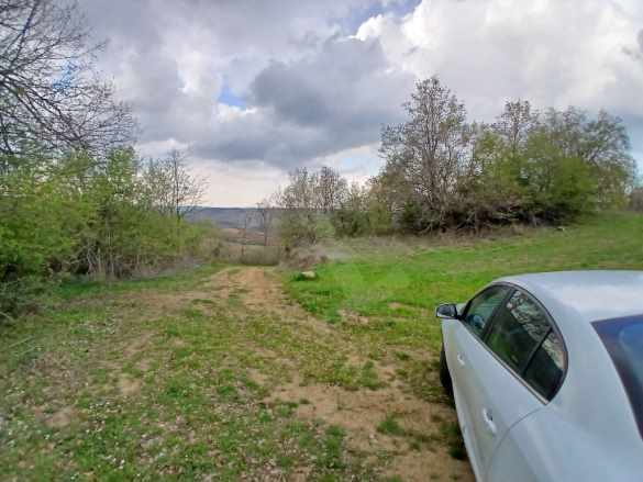 Tekirdağ Şarköy Palamut Mahallesinde Kaçırılmayacak Satılık Tarla Mah