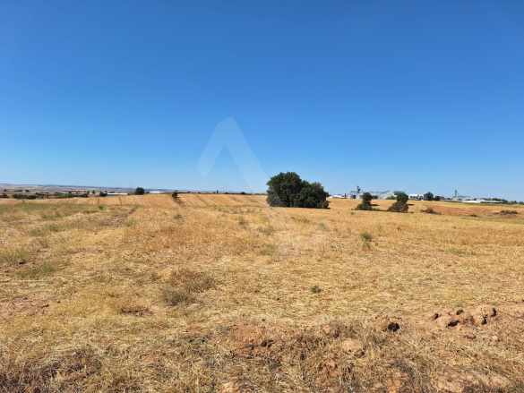 Kavacık Köyünde Yatırımlık 3200M2 Satılık Tarla Uzunköprü