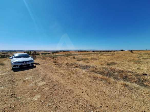 Kavacık Köyünde Yatırımlık 3200M2 Satılık Tarla Uzunköprü