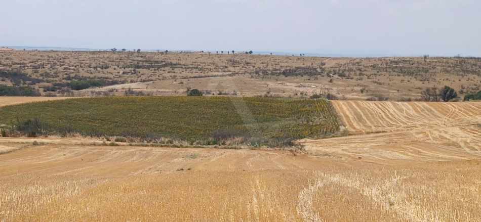 Orhaniye Köyünde 8500Yolu Olan Satılık Tarla Merkez
