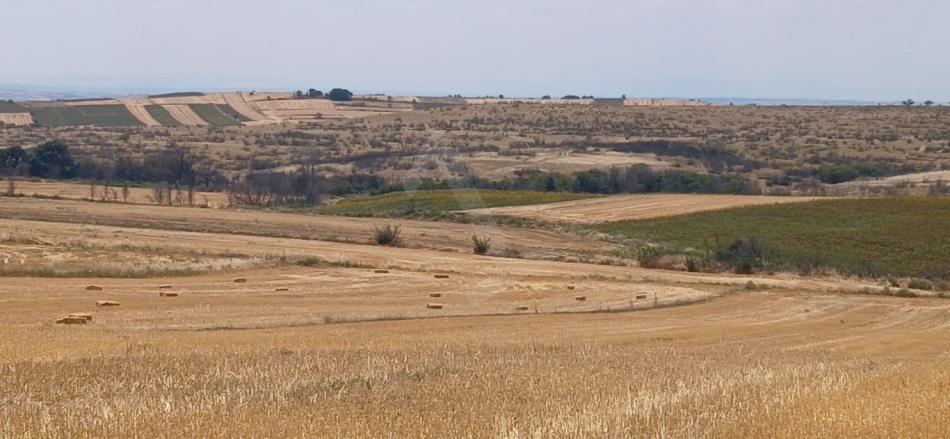 Merkez Edirne Satılık Tarla |  8500M2 1.500.000Tl Resim-2