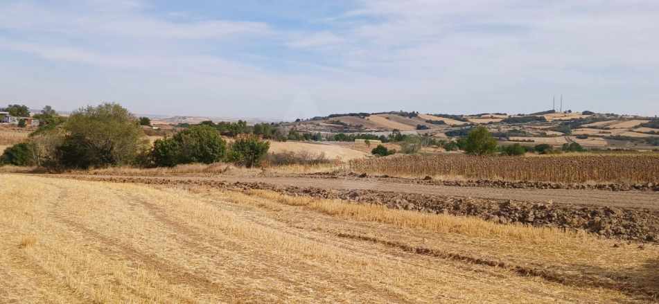 Edirne Uzun Köprü Karapınar Köyünde Yatırımlık Satılık Tarla Uzunköprü