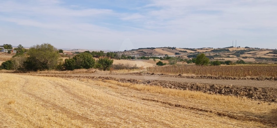 Karapınar Uzunköprü Satılık Tarla |  7650M2 2.100.000Tl İmarlı  Resim-1