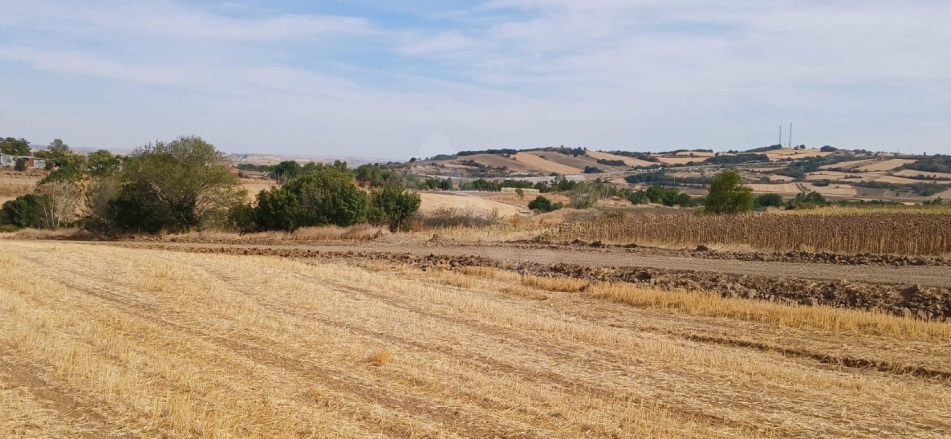 Karapınar Uzunköprü Satılık Tarla |  7650M2 2.100.000Tl İmarlı  Resim-5