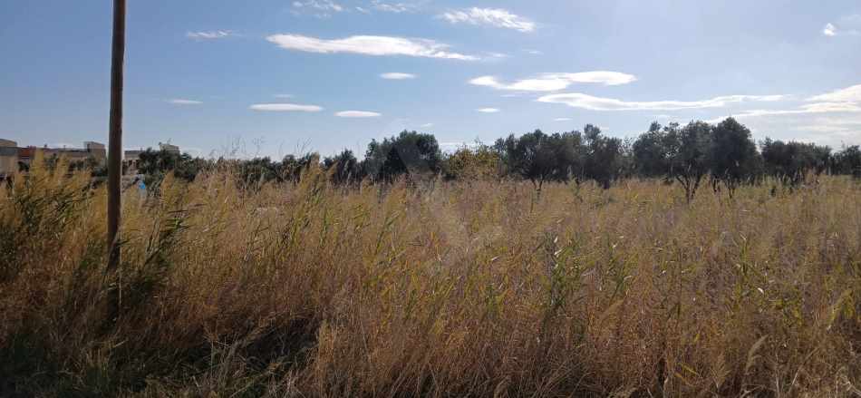 Eriklice Mh Denize Yakın 310M2 Villa imarlı Satılık Arsa Şarköy