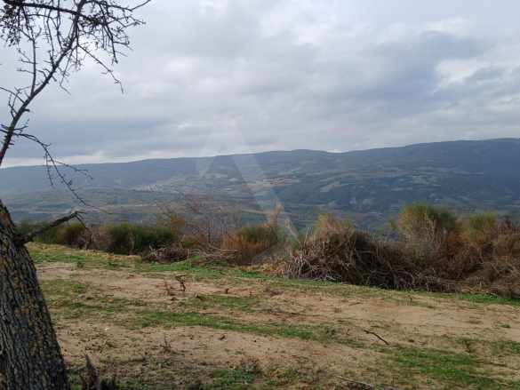 Kirazlı Mh Hoşköy Arasında Süper Deniz Manzaralı Yatırımlık Satılık Tarla Şarköy