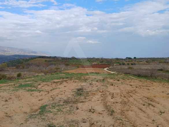 Kirazlı Mh Hoşköy Arasında Süper Deniz Manzaralı Yatırımlık Satılık Tarla Şarköy