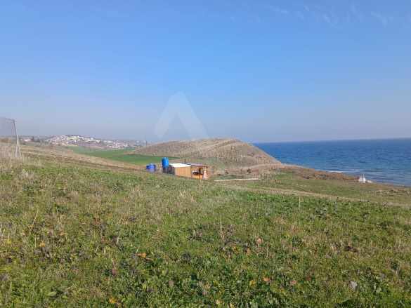 🌊 Şarköy Kocaali Mahallesi Çukurtarla Mevkiinde Deniz Manzaralı Satılık Arsa