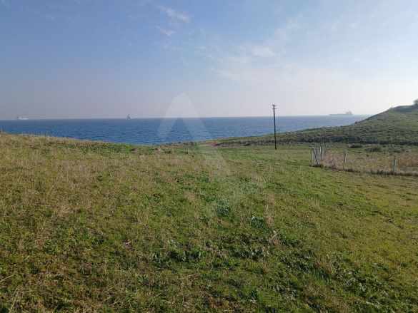 🌊 Şarköy Kocaali Mahallesi Çukurtarla Mevkiinde Deniz Manzaralı Satılık Arsa