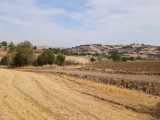 Edirne Uzun Köprü Karapınar Köyünde Yatırımlık Satılık Tarla Uzunköprü 7650 M2