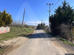 Şarköy Kocaali Satılık Tarla 340 M2