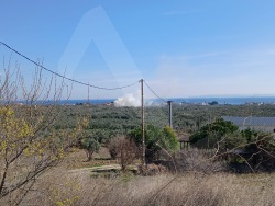 Şarköy Eriklice Satılık Arsa 308 M2