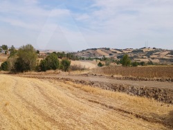 Uzunköprü Karapınar Satılık Tarla 7650 M2