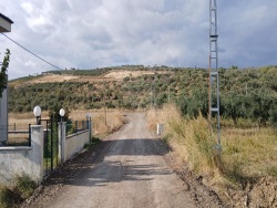 Şarköy Eriklice Satılık Arsa 310 M2